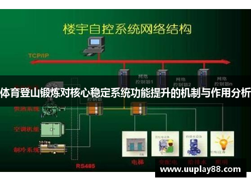 体育登山锻炼对核心稳定系统功能提升的机制与作用分析
