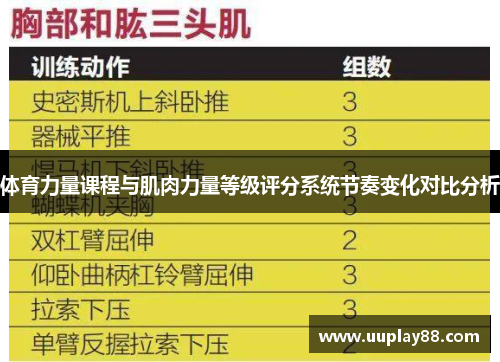 体育力量课程与肌肉力量等级评分系统节奏变化对比分析